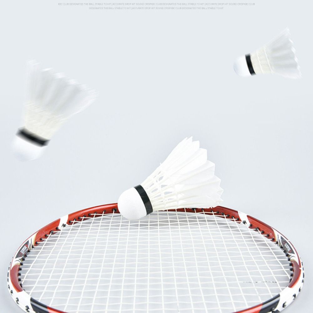 3/6/12 قطعة من كرات الريشة الط - مراجعة Badminton House وسعره