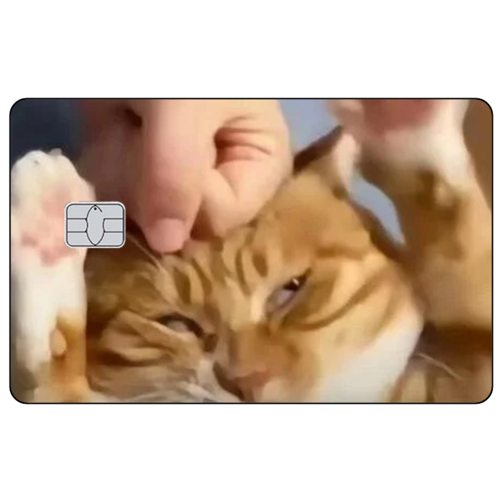 ملصقات جلد بطاقة الائتمان بتصم - مراجعة Badminton Meme وسعره