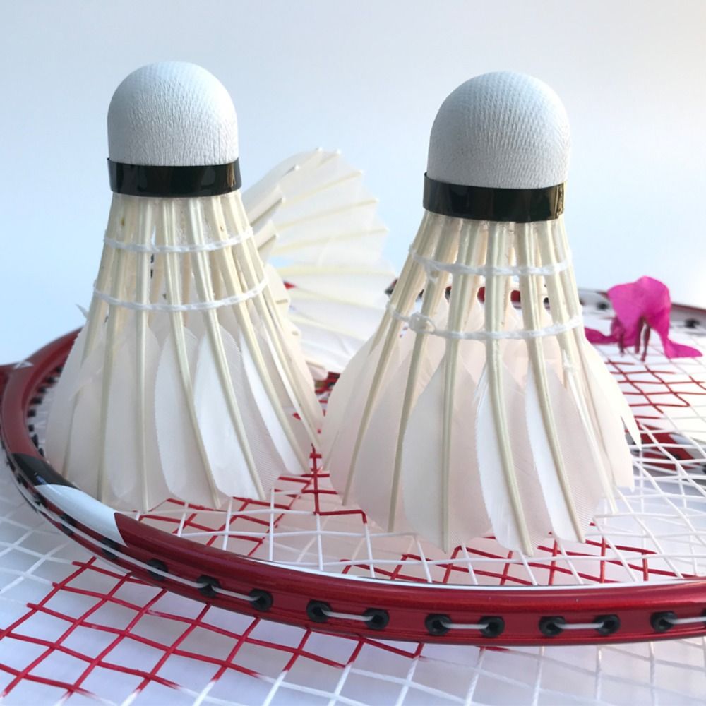 3/6/12 قطعة جديد الأبيض الريشة - مراجعة Badminton House وسعره